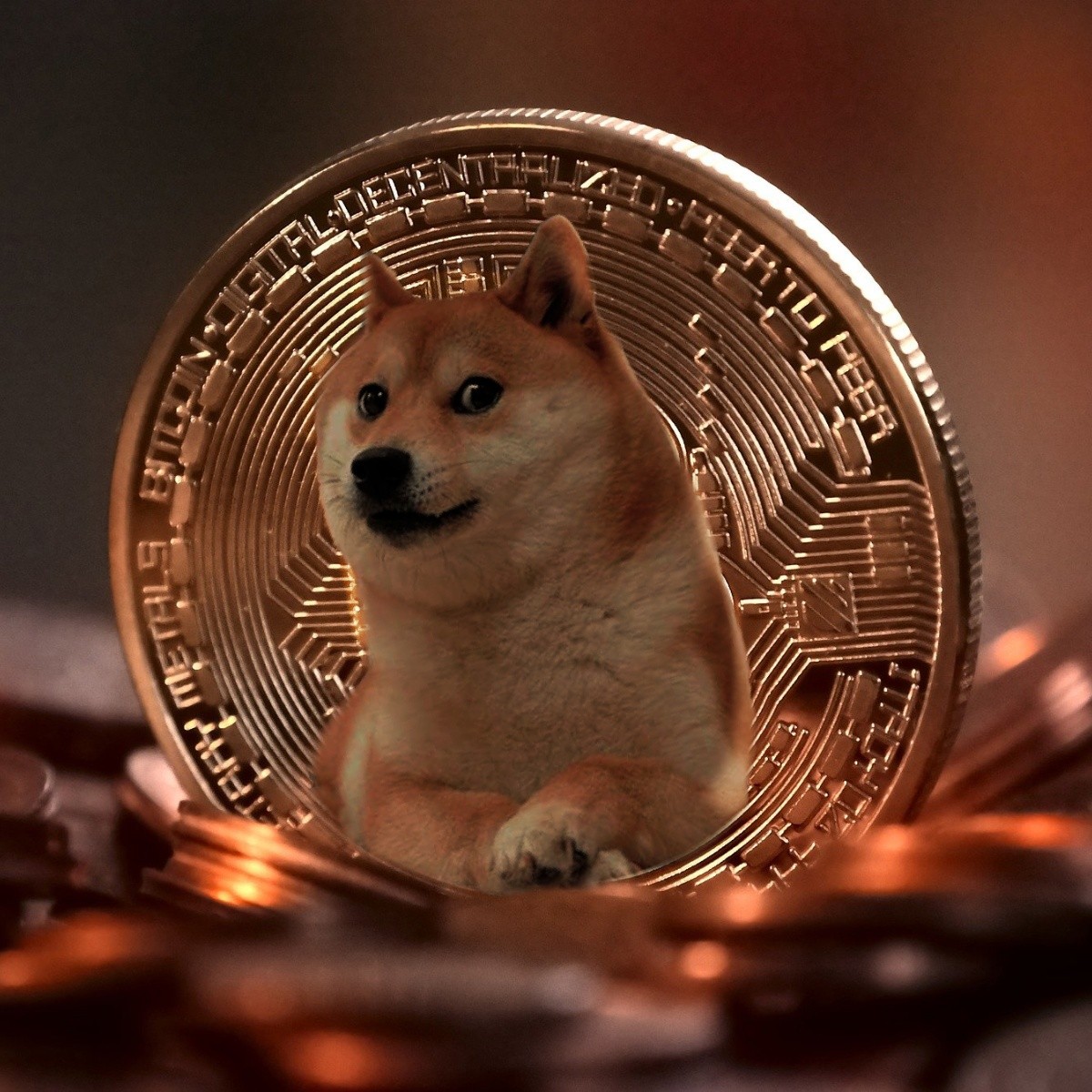 Dogecoin Doge Alcanza Un Nuevo Maximo Historico Por Influencia De Elon Musk Hoy Dinero Lo De Hoy